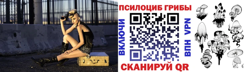 Псилоцибиновые грибы GOLDEN TEACHER  гидра ТОР  Хилок 
